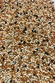 Muhabbet Kuşu Yemi Karışık Vitaminli 5 KG - Meyvesiz Yeni Mahsül Saf Kuş Yemi - 3