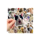 Periboia  Çılgın Kediler Macbook Notebook Tablet Telefon Ajanda Laptop Defter Sticker Seti - 1