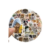 Periboia  Çılgın Kediler Macbook Notebook Tablet Telefon Ajanda Laptop Defter Sticker Seti - 5