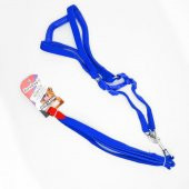 EuroDog Köpek Uz.+Göğüs Tasması Mavi 15mmx115cm - 1