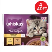 Whiskas Pure Deligt Junıor Tavuk ve Hindili Yavru Kedi Poşet Mama 85 G 4'lü paket x 4 Adet(16 adet yaş mama) thumbnail 5