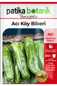 100 Adet Acı Köy Biberi Tohumu thumbnail 2
