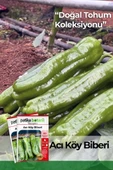 100 Adet Acı Köy Biberi Tohumu thumbnail 1