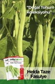 50 Adet Helda Taze Fasulye Tohumu thumbnail 1