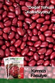 50 Adet Kırmızı Fasulye Tohumu thumbnail 1