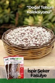 50 Adet İspir Şeker Fasulye Tohumu thumbnail 1