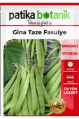 50 Adet Gina Taze Fasulye Tohumu - 2