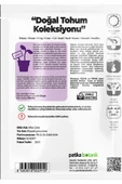 30 Adet Mor Altın Çilek (Tomatillo) Tohumu - 3