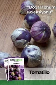 30 Adet Mor Altın Çilek (Tomatillo) Tohumu - 1