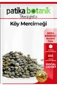 500 Adet Köy Mercimeği Tohumu - 2