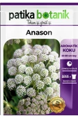 100 Adet Anason Tohumu - 2