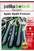 200 Adet Aydın Siyahı Patlıcan Tohumu - 2