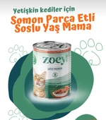 Zoey Somonlu Yetişkin Kedi Konserve Maması 400 gr x 6 Adet - 3