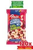 Paşa Kuruyemiş Kaju & Cranberry 40 gr X 120 Adet (4800 gr)(Toptan Kuruyemiş) - 1