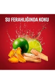 Old Spice OLDSPICE STİCK 50ML WHITE WATER*6 - 5