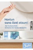 Maylo Sofia El Ve Yüz Havlusu 100 Lü 12 Paket - 2