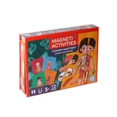 LC986ManyetikAktiviteİnsanAnatomisi-Laço - 1