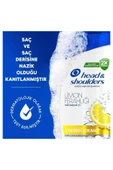 Head&Shoulders Şampuan Limon Ferahlığı 1in1 330 ml - 6