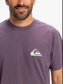 Quiksilver Eqyzt08042 Ev Mini Logo Ss Mor Erkek T-Shirt - 3