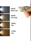 (5 Adet) Osaka 5W 6500K (Beyaz Işık) G9 Duylu Led Kapsül Ampul - 5