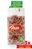 Paşa Kuruyemiş Çiğ Fındık İçi 250 gr X 3 Adet (750 gr) - 1
