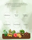 Bitkisel Detox Çay,İştah Kapama ve Ödem Atmaya Destek Diyet Çay - 6