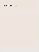 Marshall Maximum Silikonlu İpek Mat Sabah Kokusu 2,5 Lt. (3,5 Kg) thumbnail 2