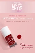 PASTEL Lip To Cheek Tint 01 - Carmen thumbnail 2