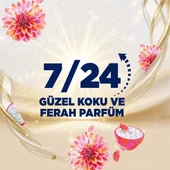 Domestos Tuvalet Bloğu Aroma Lux Yıldız Çiçeği & Ejder Meyvesi 100 G + Hibiskus & Kırmızı Meyveler - 4