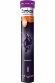 IHEALTH Sambucol Plus 15 Efervesan Tablet - 1