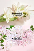 AVON TTA Everlasting Kadın Parfüm EDP 50 ml - 3