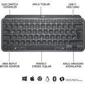 LOGITECH MX KEYS MINI Q TR KLAVYE SIYAH 920-010504 thumbnail 3