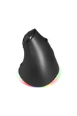 Dexim Wireless, 2.4Ghz & Bluetooth RGB AntiRSI Şarj Edilebilir Ergonomik Dikey Tutuşlu Kablosuz Mouse - 4