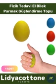Premium Silikon Stres Topu El Egzersiz FizikTedavi Topu El Bilek Parmak Güçlendirme Ameliyat Sonrası - 1