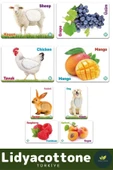 Premium I?nce Motor Gelişimi Görsel Algı Öğrenme Dokun Hisset Çiftlik Hayvanları Ve Meyveler - 2