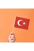 TİFOYS  20 Adet Çıtalı Sopalı Milli Bayramlar İçin Bayrak - 1
