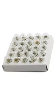 TİFOYS  ( 25 ADET ) Mini Ampul, Deney Setleri için, 2,5 V, Sarı Ampul, Lamba, Elektrik Devresi - 3