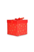 TİFOYS  Yılbaşı Temalı Kırmızı Hediye Kutusu 15x15cm - 1
