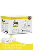 Yenidoğan Newborn Islak Mendil 12x40lı (480 YAPRAK) - 1