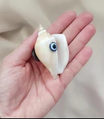 Magnet Doğal Deniz Kabuğu Nazar Boncuklu Mıknatıslı Buzdolabı Süsü - 2