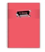 Kareli 60 Yaprak Spiralli Defter A4 Boy Plastik Kapak (1 Adet ) - 12