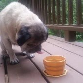 Byr3D Yerinde Baskı Katlanabilir Su Kasesi T2441950 Sadece Plastik Aparattır - 2