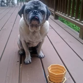 Byr3D Yerinde Baskı Katlanabilir Su Kasesi T2441950 Sadece Plastik Aparattır - 1