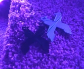 Byr3D Eksizyon Anahtarlık T4144779 Sadece Plastik Aparattır - 1