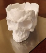 Byr3D Kafatası Kasesi T6279902 Sadece Plastik Aparattır - 1