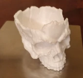 Byr3D Kafatası Kasesi T6279902 Sadece Plastik Aparattır - 2