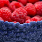 Byr3D Yaban Mersini Kasesi T3147921 Sadece Plastik Aparattır - 2