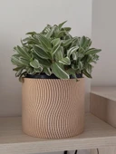 Byr3D Saksi / Çay Işiği T2721315 Sadece Plastik Aparattır - 1