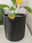 Byr3D Saksi / Çay Işiği T2721315 Sadece Plastik Aparattır - 2