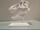 Byr3D T-Rex Kafatası Biblo Beyaz 308335 Sadece Plastik Aparattır - 1